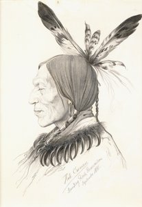 Heu-Topa, Four Horns or Jagoo, The Storyteller, Chief of the Hunkpapa Sioux av Rudolf Cronau