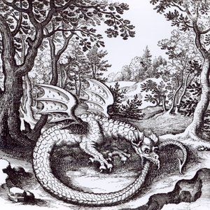 En drake i skogen, ur "Musaeum Hermeticum Reformatum" av Basil Valentine, 1678 av Russian School