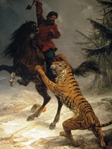 Sibirisk tiger attackerar en kosack