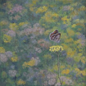 Brown Argus (efter foto av Sara Crow) av Ruth Addinall