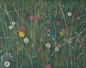 Plants of the Machair, 2008 av Ruth Addinall