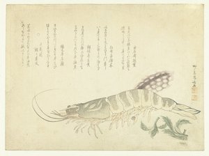 Kräftor och bläckfisk av Ryuryukyo Shinsai