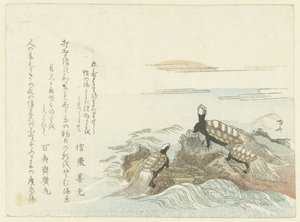 Sköldpaddor på en klippa av Ryuryukyo Shinsai