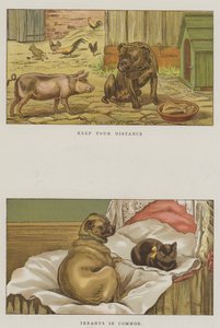 Humoristiska hundar (chromolitho)