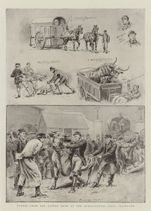 Scener från Cattle Show i Agricultural Hall, Islington