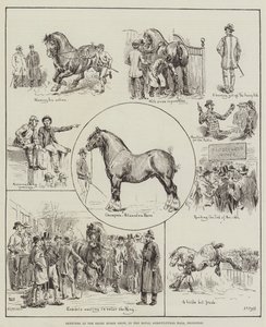 Skisser från Shire Horse Show, i Royal Agricultural Hall, Islington