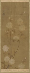Hängande körsbärsgrenar i blom, Edo-period, mitten av 1700-tidigt 1800-tal. av Sakai Hoitsu