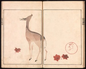 Ōson (Hōitsu) bildalbum (Ōson gafu) av Sakai Hoitsu