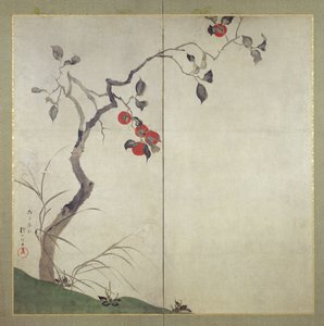 Persimmon on Tree (bläck, färger och guld på papper)