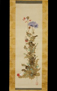 Mohnblumen