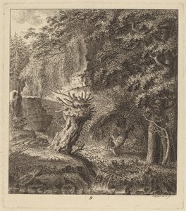 Skogbevuxen landskap med pollardträd, 1764.