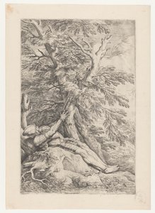 Saint William av Maleval av Salvator Rosa