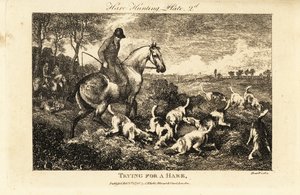 Beriden jägare som tittar på en flock hundar som gräver efter harar