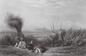 Australien: Grass Tree Plains (gravyr)