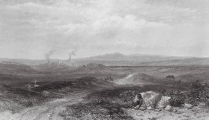 Australien: Utsikt nära Botany Bay (gravyr) av Samuel (after) Prout