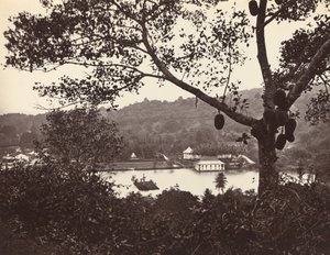 En titt från Upper Lake Road som visar templet och ön med park - fruktträd i förgrunden, c1865. av Samuel Bourne