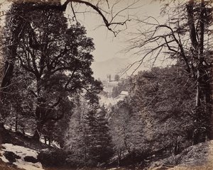 Shimla. Kyrkan genom träden, från Jakko av Samuel Bourne