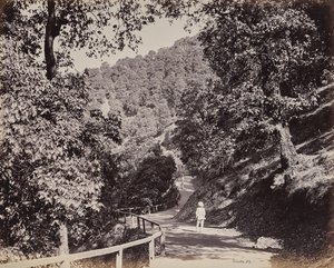 Shimla. The Mall nära Rabq Lodge av Samuel Bourne
