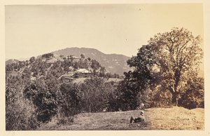 Simla; "Peterhof" av Samuel Bourne