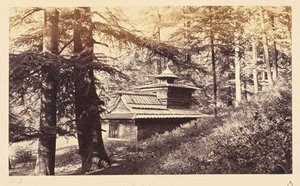 Simla; Tempel nära vattenfall av Samuel Bourne