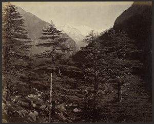 Snöklädda toppar nära Gangotri, från Bhairamghati av Samuel Bourne