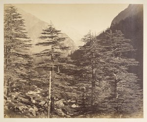 Snöiga toppar nära Gangootri från Bhairamghati. Fotograf: Bourne, Samuel Album med fotografier av Indien, främst av Samuel Bourne1866 av Samuel Bourne