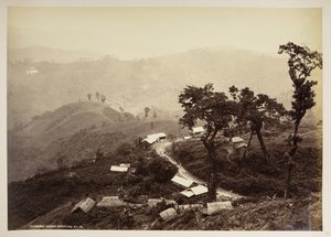 Teendari Bazaar, Darjeeling,  från "Views of Darjeeling",  1860 - 1880    (s/v bild) av Samuel Bourne