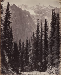 Övre Himalaya. Utsikt i Manga-dalen av Samuel Bourne