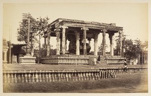 Den stora stentjuren, Tanjore