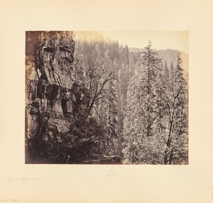 Utsikt i Narkunda-skogen av Samuel Bourne