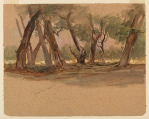 Cypresser, Chapultepec, Mexiko av Samuel Colman