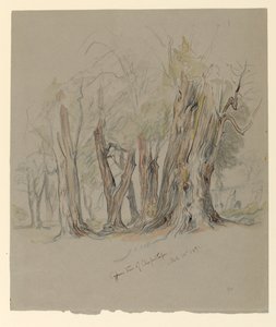 Cypresser i Chapultepec, Mexiko av Samuel Colman