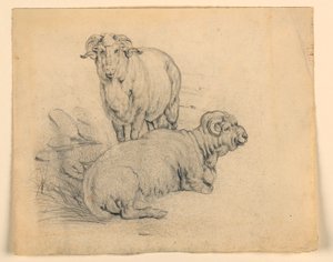 Teckning, Studie. Två baggar, ca 1850 av Samuel Colman