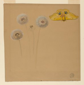 Teckning, studie av vit prästkrage, kamomillstjälk med två kronblad och ett kronblad av kamomill, 1875-90 av Samuel Colman