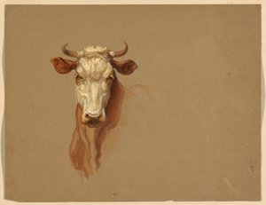 Teckning, Två studier.  Nötkreatur, 1876 av Samuel Colman