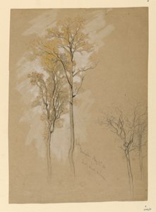 Oaks, Lady Wood Lane, Irvington av Samuel Colman