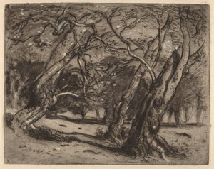 Namnlös (skogsbevuxen landskap) av Samuel Colman