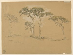 Vindblåsta tallar, Pacific Grove. Verso: Pacific Coast-vägen till Point Sur. av Samuel Colman