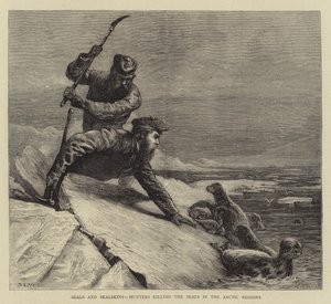Sälar och sälskinn, jägare som dödar sälar i de arktiska regionerna av Samuel Edmund Waller