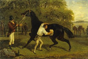 Rubbing Down (olja på duk) av Samuel Henry Alken