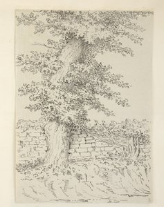 Lägg till. MS 15546 Am Elm Tree vid Bedminster av Samuel Hieronymous Grimm