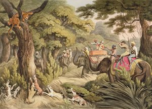 Shooting A Leopard, från Oriental Field Sports, pub. av Edward Orme, 1807 (tryck)