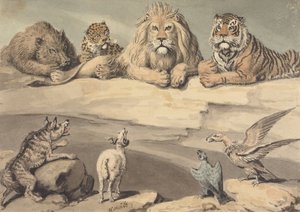 Ett vildsvin, en leopard, ett lejon, en tiger, en varg, en bagge och två örnar av Samuel Howitt
