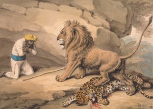 Ett lejon som står över en sårad leopard