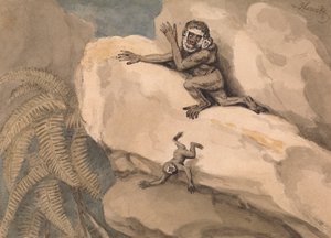 En apa och unga av Samuel Howitt