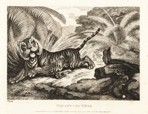En räv tittar på en skadad tiger. 1811 (etsning) av Samuel Howitt