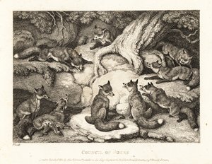 En flock rävar som möts i en skog. 1811 (etsning) av Samuel Howitt