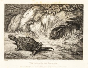 En sköldpadda kör om en sovande hare i ett lopp. 1811 (etsning) av Samuel Howitt