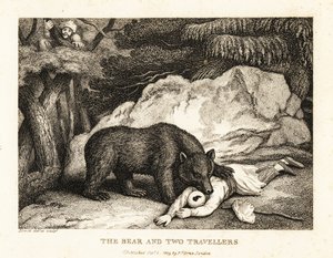 En resenär i turban spelar död när han blir attackerad av en björn. 1811 (etsning) av Samuel Howitt