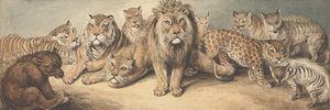 Djur ur kattfamiljen, med en björn och rävar av Samuel Howitt